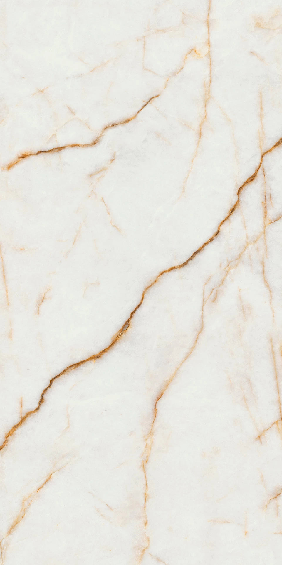 Diva ice Polished/Matte 24x48