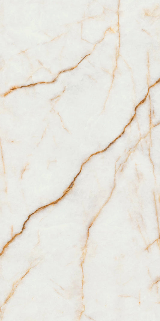 Diva ice Polished/Matte 24x48