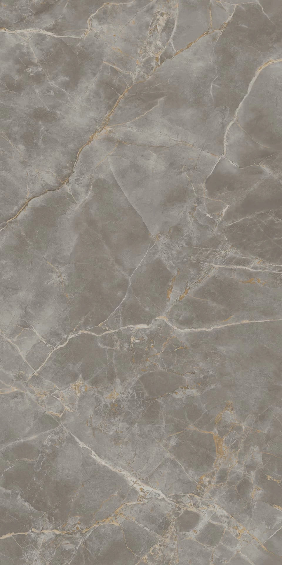 Fior di Bosco 24x48