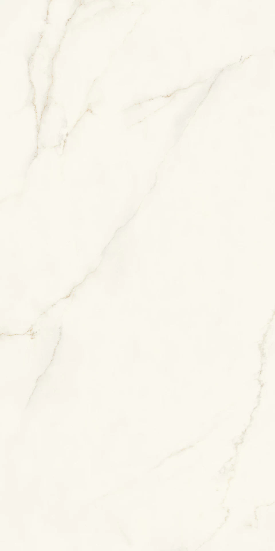 Calacatta Apuano Polished/Hammered/Matte 24x48