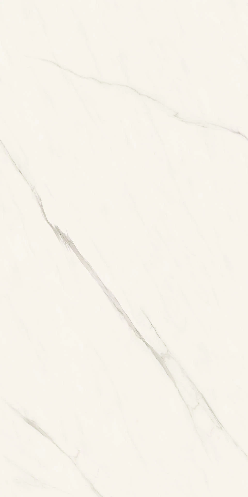 Calacatta Meraviglia Matte/Polished 12x24