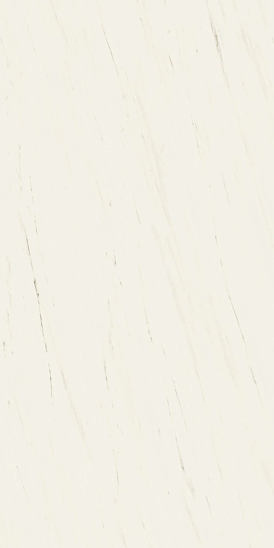 Bianco Dolomite Polished/Matte 24x48