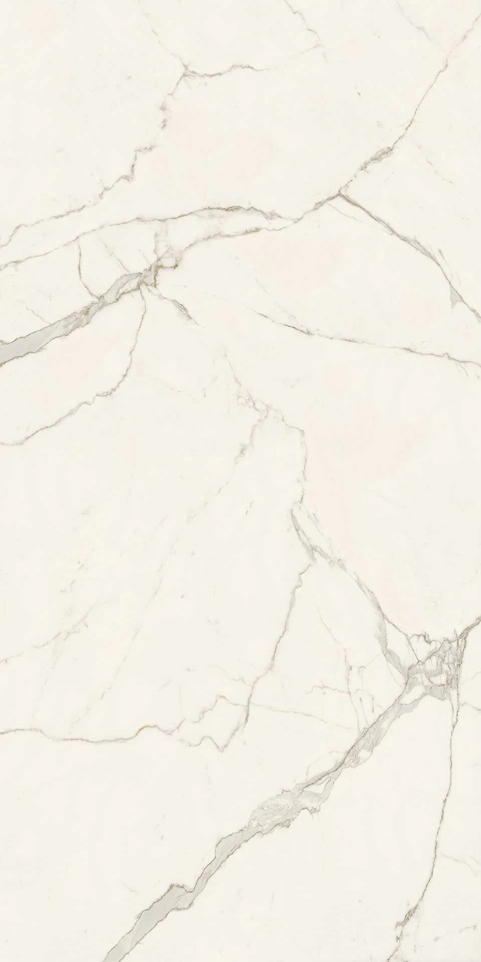 Calacatta Extra Polished/Matte 12x24